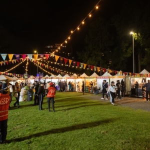 Zona ZAE en un Festival