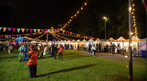 Zona ZAE en un Festival